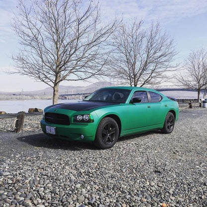 NiO Green Peelable Car Kit
