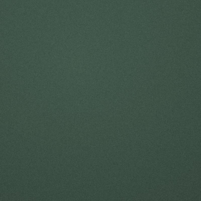 Lotus Dark Verdant P. M505 paint swatch