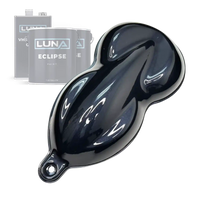 Arctic Black Permanent Car Kit